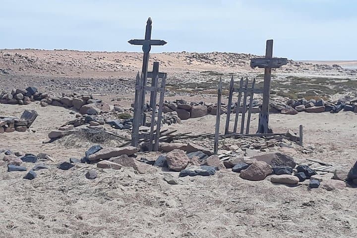 Skeleton Coast Cape Cross Seal Colony: Half-Day Seal, Shipwrecks & Desert Fog photo 2