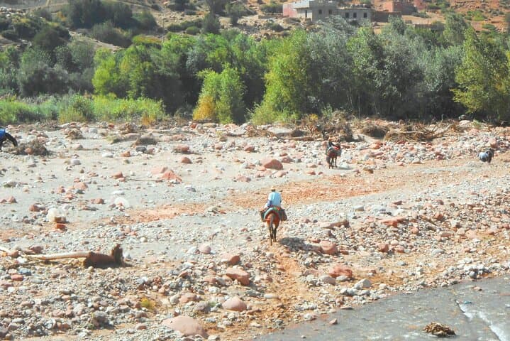 Zat Valley & Atlas Day Trip from Marrakech — Authentic Berber Villages and Local Lunch photo 2