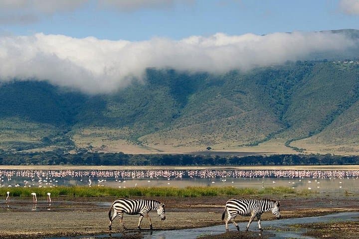 Ngorongoro Crater Day Trip: Safari Inside a 19km Volcanic Caldera photo 3