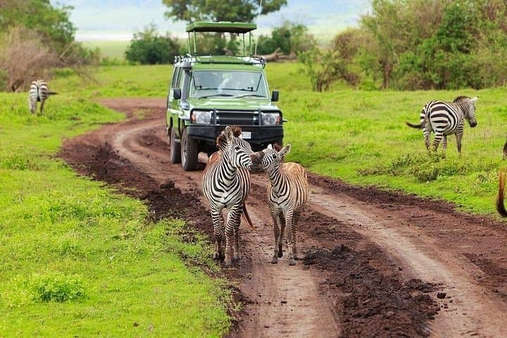 Ngorongoro Crater Day Trip: Safari Inside a 19km Volcanic Caldera photo 5