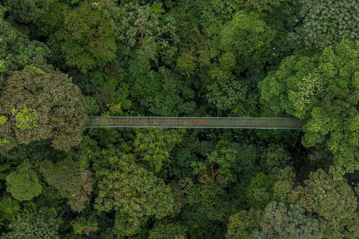 Selvatura Park Eco Adventure: Monteverde Tree Top Walkways & Butterfly Garden