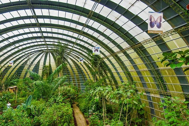 Full Monteverde Cloud Forest Experience with Ziplining — Selvatura Park Guide photo 3