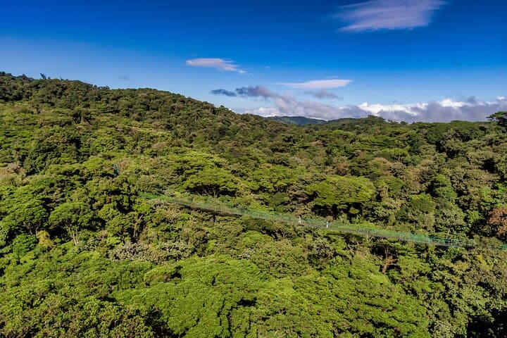 Full Monteverde Cloud Forest Experience with Ziplining — Selvatura Park Guide photo 5
