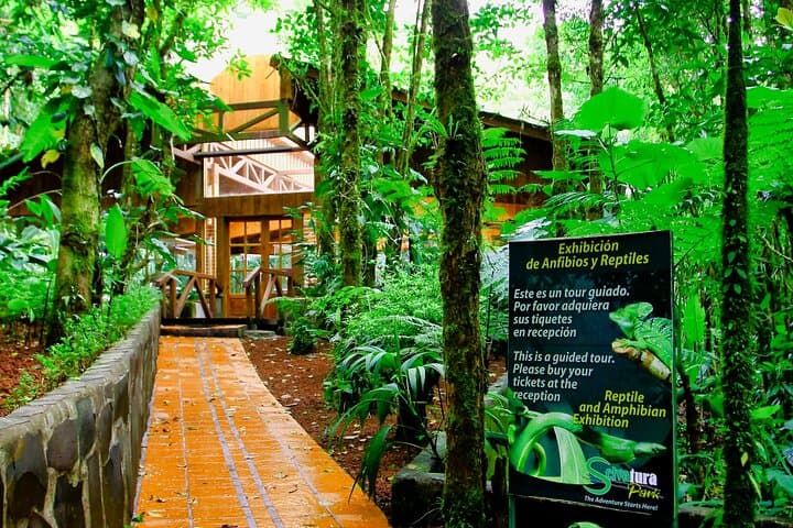 Selvatura Park Herpetarium Tour — Monteverde Frogs, Snakes & Cloud-Forest Wildlife photo 2