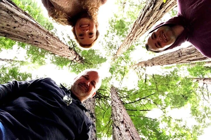 San Francisco to Muir Woods: Full-Day Private Jeep Tour from Fisherman’s Wharf