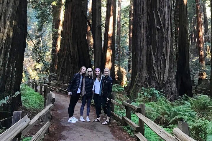San Francisco to Muir Woods: Full-Day Private Jeep Tour from Fisherman’s Wharf photo 2