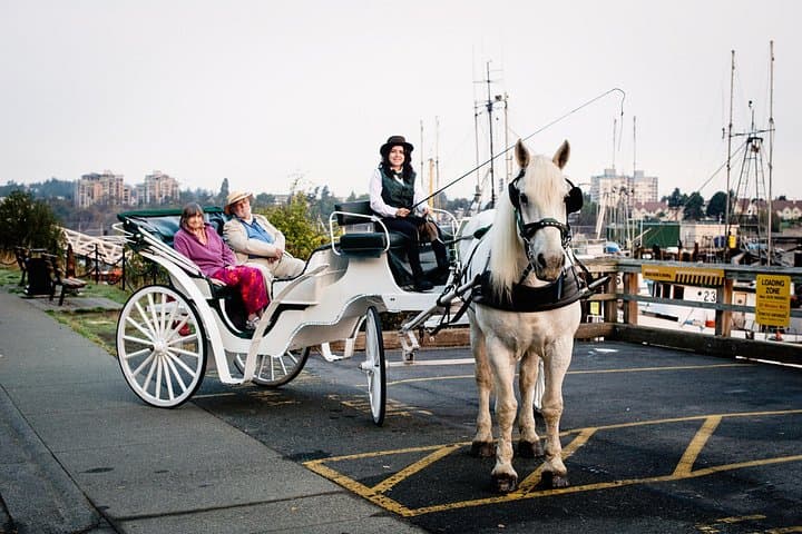 Victoria Horse-Drawn Carriage Tour: 90-Minute Capital Tour photo 3
