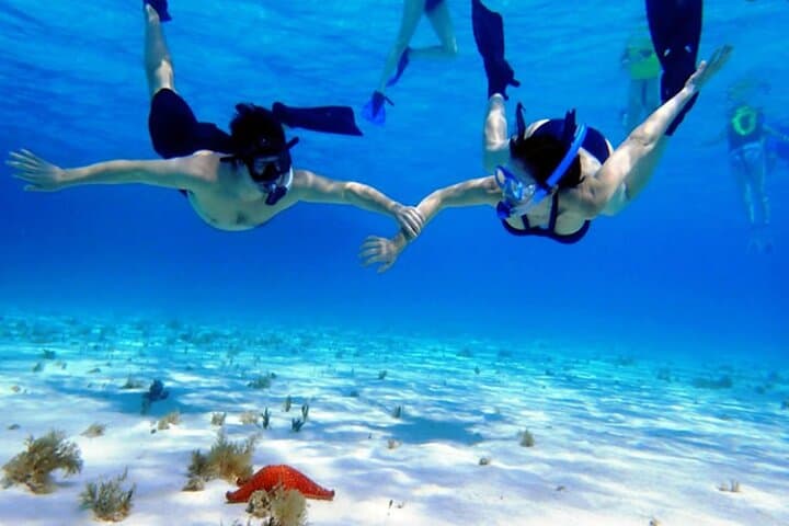 Cozumel Snorkel: El Cielo, Palancar & Colombia Reef Tour