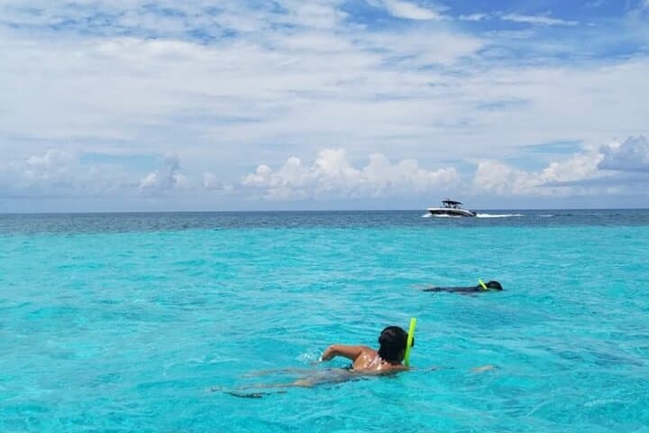 Cozumel Snorkel: El Cielo, Palancar & Colombia Reef Tour photo 5