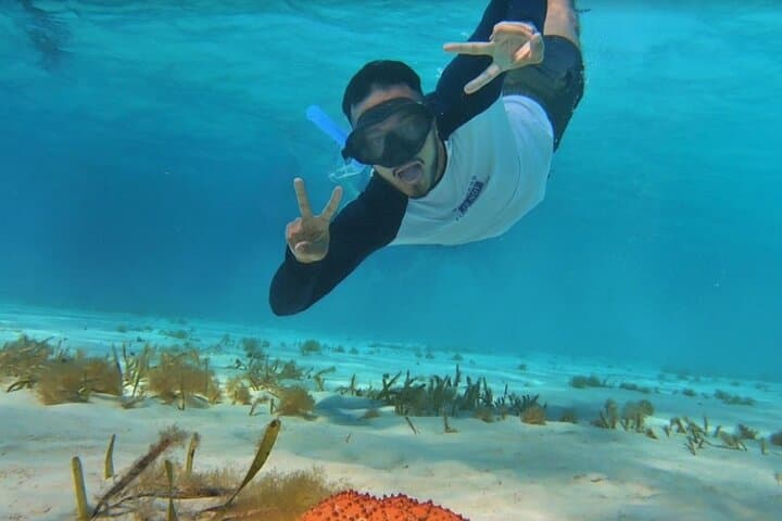 Cozumel Snorkel: El Cielo, Palancar & Colombia Reef Tour photo 4