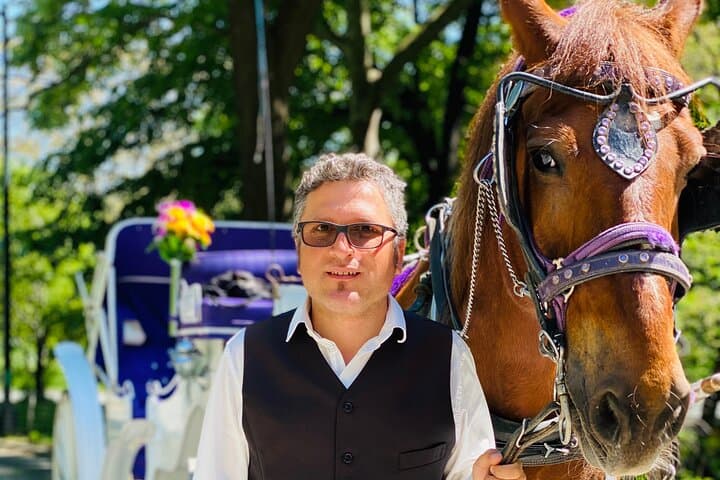 Central Park Horse and Carriage Ride: 45-Minute Historic South End Tour photo 1