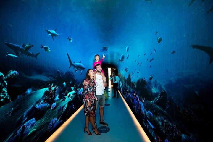 The View at The Palm: 240m Observatory & Dining at Nakheel Mall photo 4