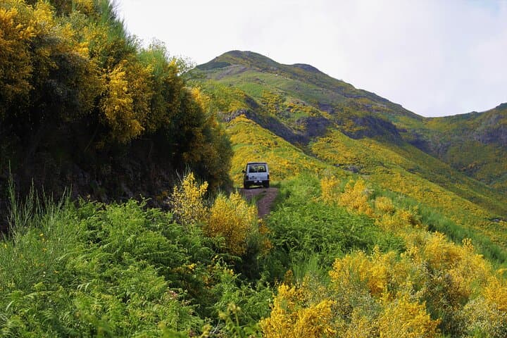 Custom All-Terrain Adventure Across Madeira — Private Full-Day ATV Tour photo 2