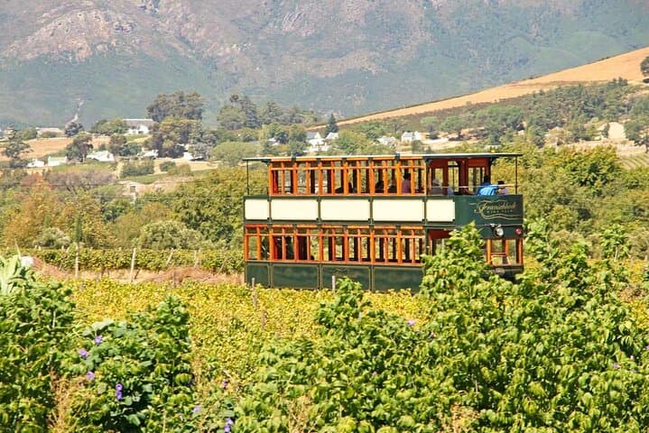 Taste + Tram the Cape Winelands: Stellenbosch, Franschhoek & Paarl Wine Tour photo 4