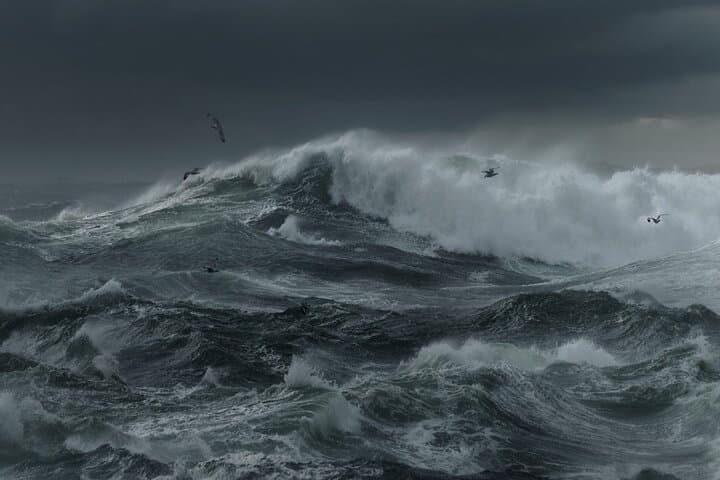 Cornwall Coastal Photography Workshop: Private Full-Day Shoot & Editing in Portreath photo 5