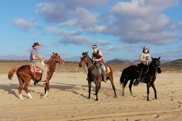 Beach Horseback Riding in Todos Santos — Ride Coastal Trails and Los Cerritos photo 3
