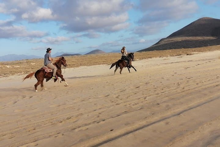 Beach Horseback Riding in Todos Santos — Ride Coastal Trails and Los Cerritos photo 4
