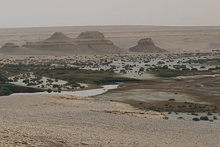Wadi Al Hitan Day Trip from Cairo — 4x4 Fossil Safari & Desert Camping photo 3