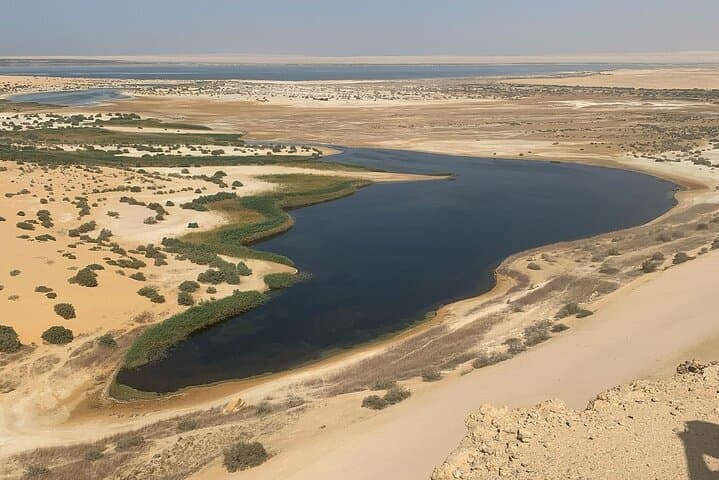 Wadi Al Hitan Day Trip from Cairo — 4x4 Fossil Safari & Desert Camping photo 4