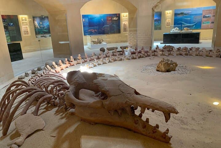Wadi Al Hitan Day Trip from Cairo — 4x4 Fossil Safari & Desert Camping photo 5