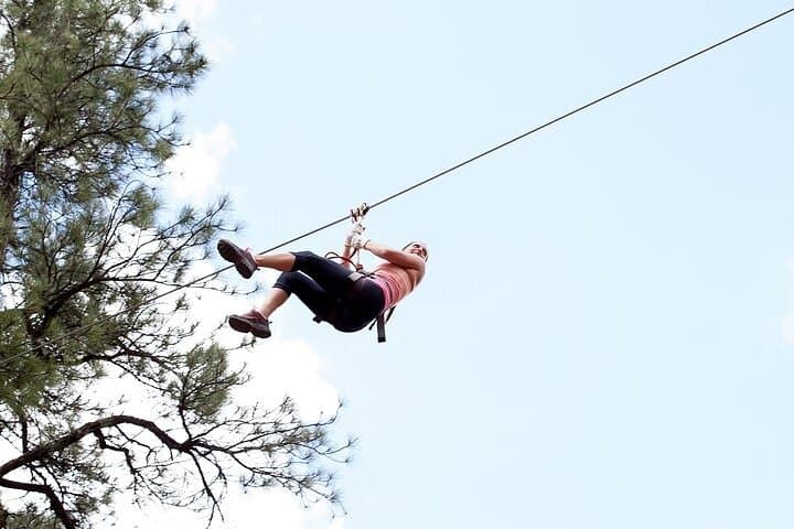 Flagstaff Extreme Adult Aerial Courses at Fort Tuthill: Zip, Climb, and Conquer the Canopy photo 5