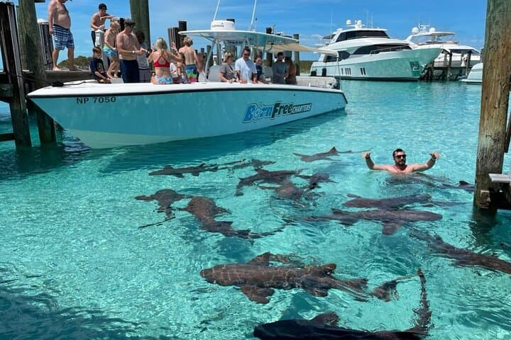 Exuma Island-Hopping Day Tour: Swim with the Pigs, Snorkel, and See Nurse Sharks photo 2