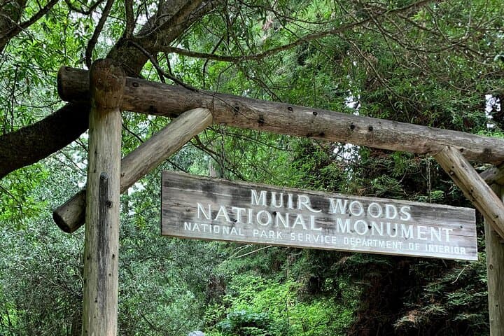 Exploring Muir Woods and Sausalito: A Private 4-Hour Tour from San Francisco
