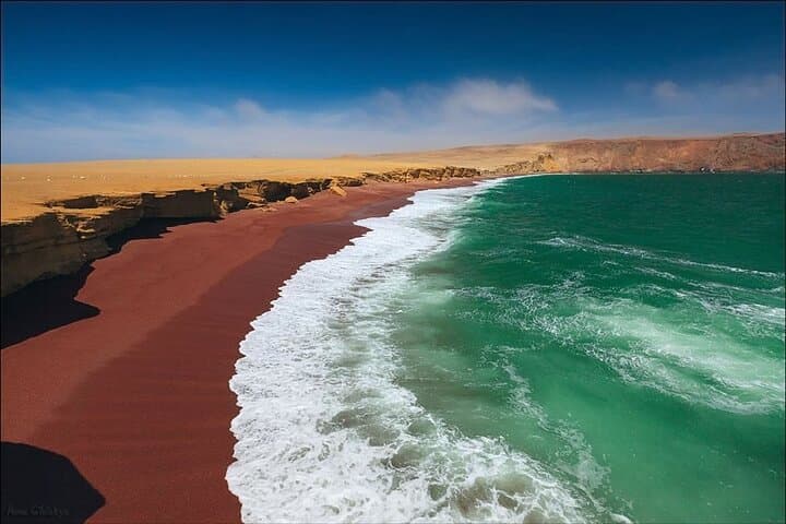 Paracas National Reserve: Sea, Desert & Wildlife Day Tour photo 3