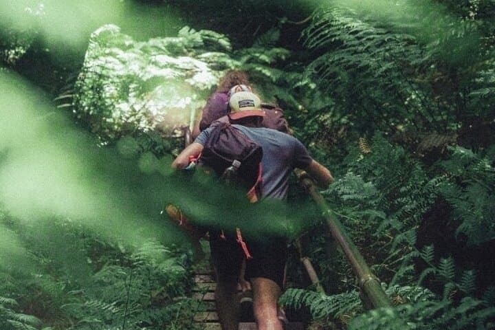 Private Blue Mountains Day Trip from Sydney — Three Sisters, Leura & Botanic Garden photo 2