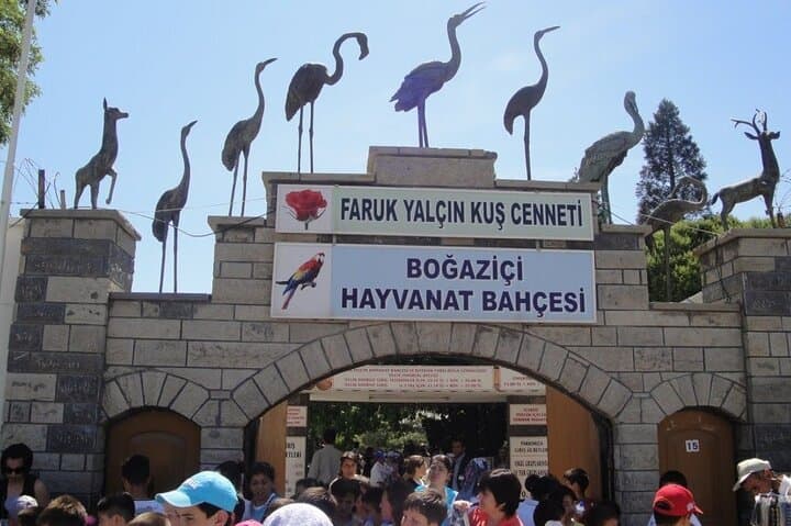 Sapanca & Maşukiye Day Tour: Ormanya, Kartepe Views and Sapanca Lake Escape
