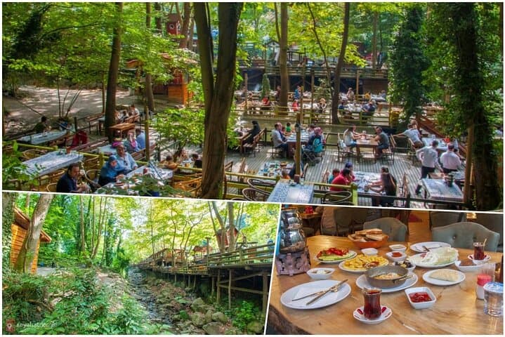 Sapanca & Maşukiye Day Tour: Ormanya, Kartepe Views and Sapanca Lake Escape photo 2