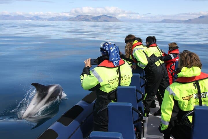 Speedboat Whale Watching in Reykjavik: Small-Group RIB Tours in Faxaflói Bay
