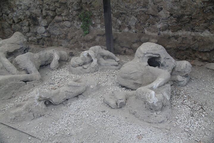 Amalfi Coast Day Trip: Pompeii, Sorrento & Positano in One Day photo 6