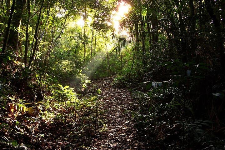 Rio de Janeiro Sustainable Experience: Tijuca Hikes, Iconic Views & Coastal Beaches photo 4