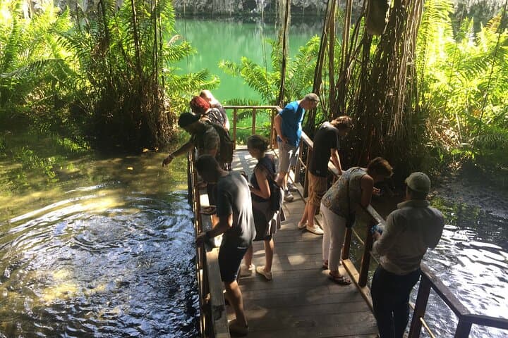 Explore Los Tres Ojos Caves — Santo Domingo's Urban Karst Park