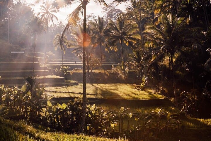 Kintamani: Volcano Ridge, Rice Terraces & Traditional Villages photo 2