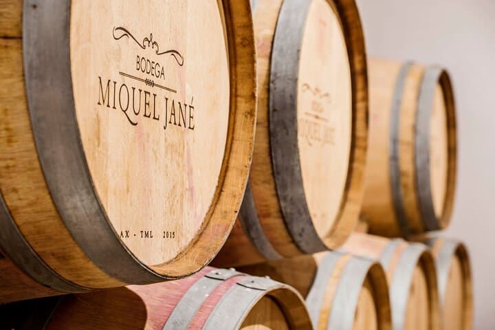 Penedès E‑Bike Route & Miquel Jané Wine Tasting — Electric Bike Tour from Barcelona photo 4