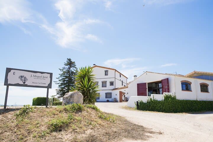 Penedès E‑Bike Route & Miquel Jané Wine Tasting — Electric Bike Tour from Barcelona photo 5
