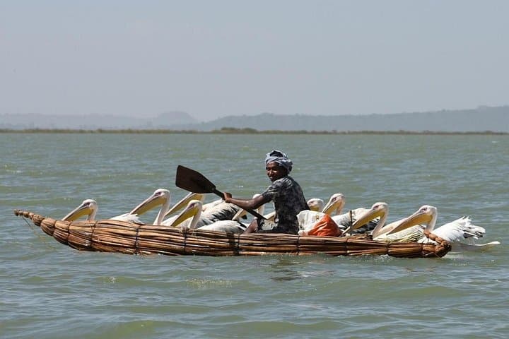 Explore Northern Ethiopia: 6-Day Flight Circuit to Lalibela, Gondar, Simien & Blue Nile photo 2