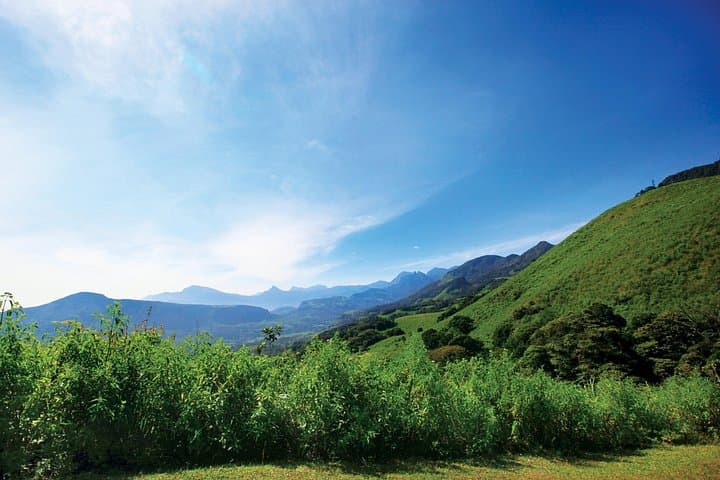 Colombo to Ella by Rail: Hill-Country Train, Little Adam's Peak & Nine Arch Bridge photo 3