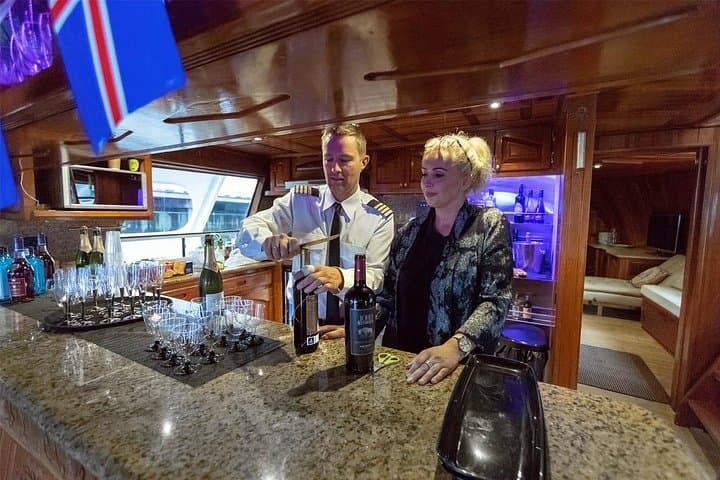 Reykjavík New Year's Eve Fireworks & Northern Lights Cruise aboard the Amelia Rose photo 4