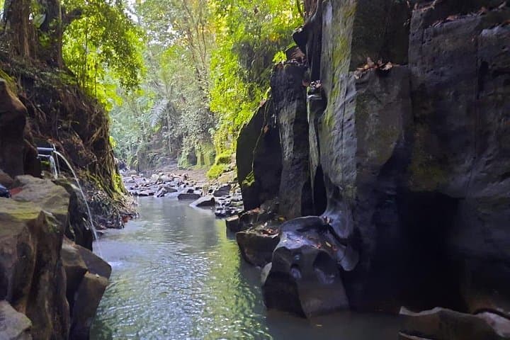 Tegallalang Rice Terrace Trek and Kanto Lampo Waterfall Day Tour from Ubud photo 3