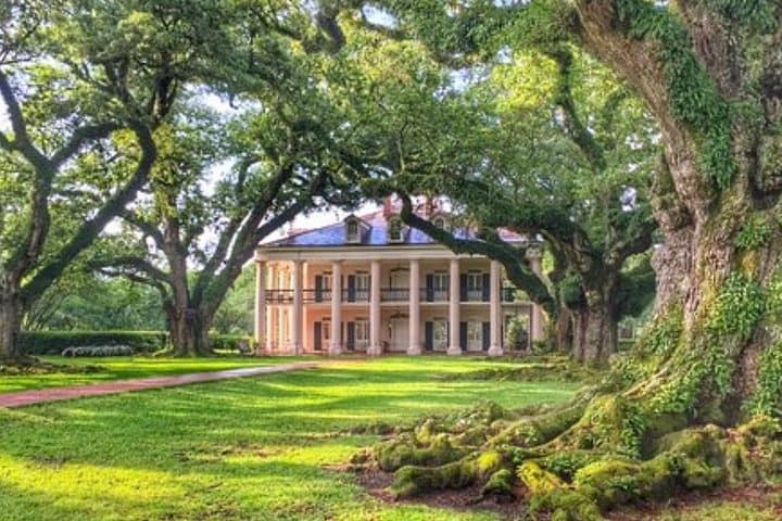 Half-Day Oak Alley Plantation Tour: Live Oaks, River Views & Creole History photo 4