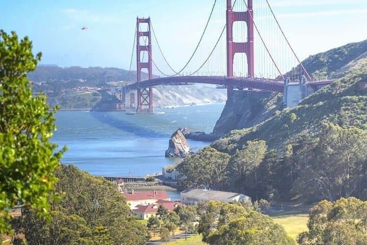 Exploring Muir Woods and Sausalito: A Private 4-Hour Tour from San Francisco photo 5