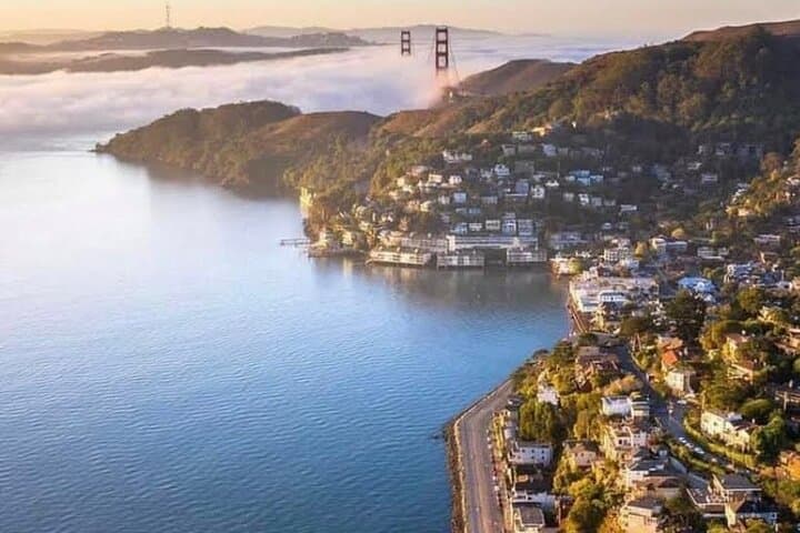Exploring Muir Woods and Sausalito: A Private 4-Hour Tour from San Francisco photo 6