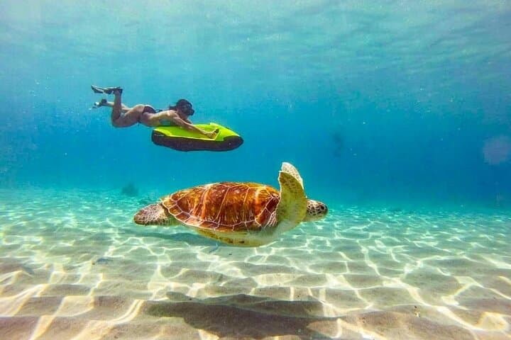 Seabob Rental at Anse Caraïbe — Explore Turtles & Reefs in Pointe‑Noire photo 5