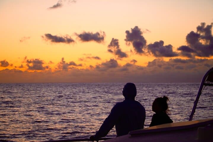Oahu West Coast Whale Watching and Sunset Catamaran Cruise photo 6