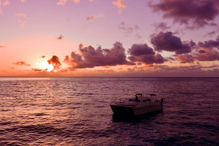 Oahu West Coast Whale Watching and Sunset Catamaran Cruise photo 4