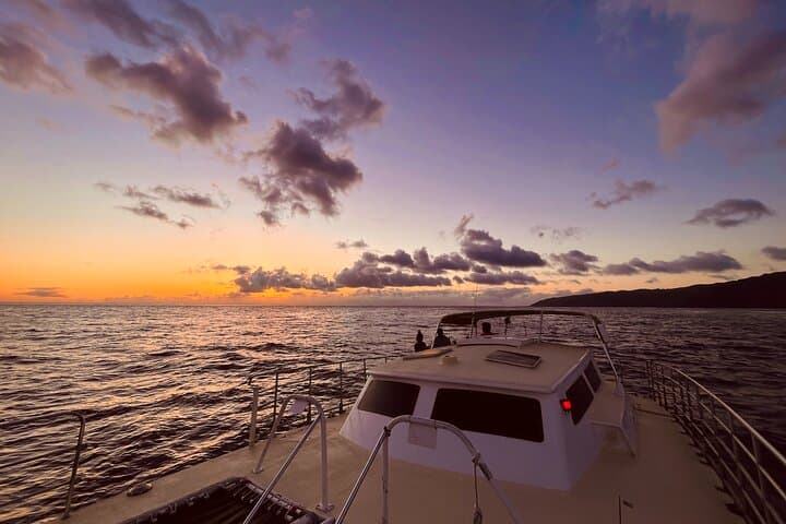 Oahu West Coast Whale Watching and Sunset Catamaran Cruise photo 5