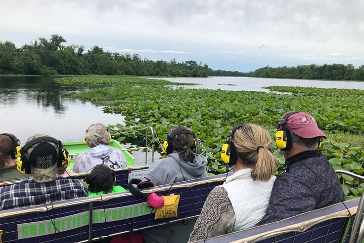 Airboat Adventure on the St. Johns River: Saint Augustine Airboat Safari photo 4